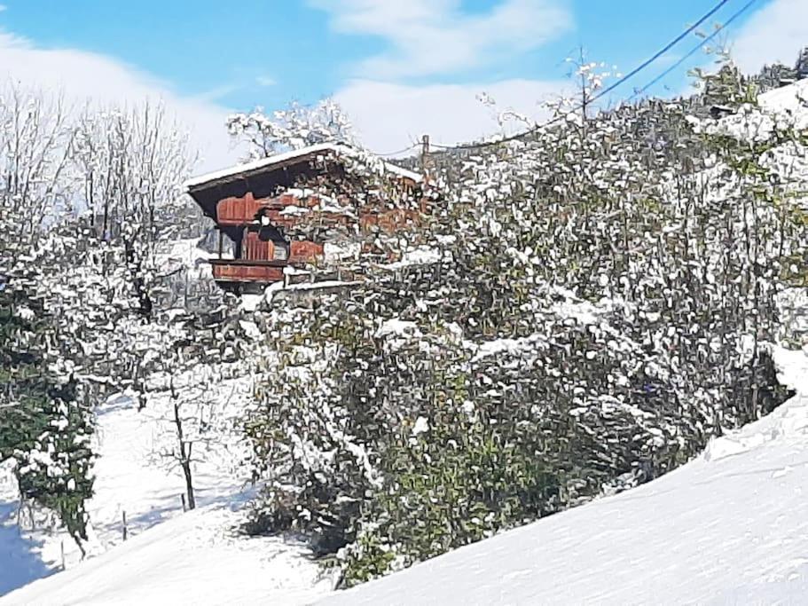 Mountain Chalet Mayrhofen Exteriör bild
